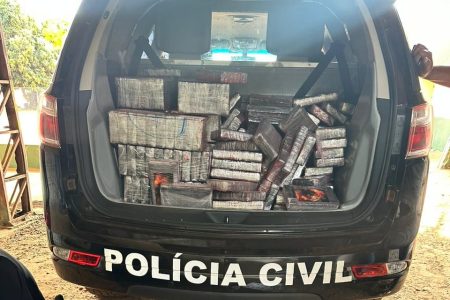 Polícia Civil incinera 220 quilos de cocaína em Aral Moreira