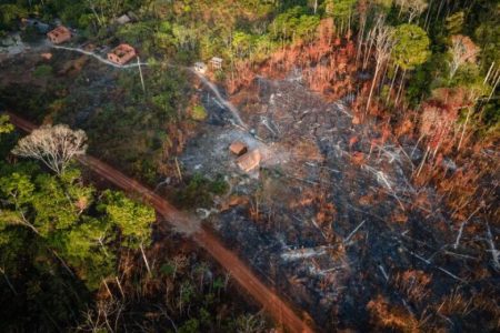 Comissão de Meio Ambiente discute combate a queimadas na Amazônia
