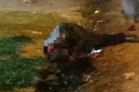 Brasileiro é executado a tiros na fronteira