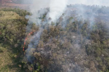 Incêndio no Parque Nacional do Cerro Corá, faz autoridades decretarem emergência