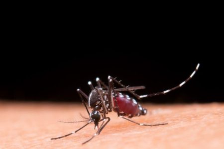 Mato Grosso do Sul registra 15.351 casos confirmados de dengue