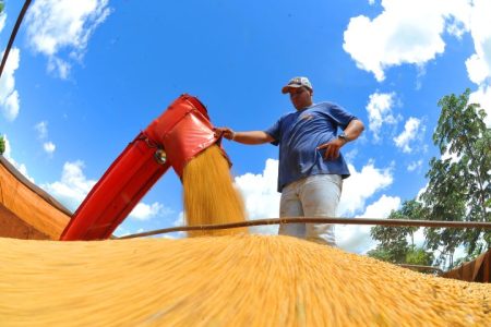 Parceria do Estado possibilita o mapeamento do uso e da ocupação do solo em MS