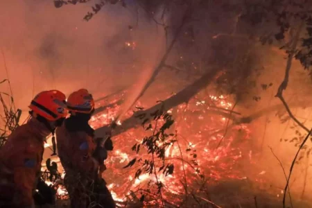 MS declara guerra contra incêndios criminosos, diz Eduardo Riedel