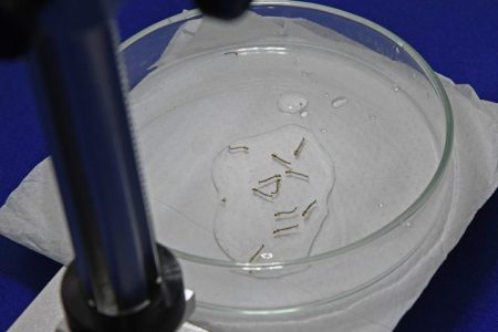 Saúde registra 15.744 casos confirmados de dengue