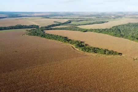 Governo de MS buscará indenizar produtores com áreas em terras indígenas