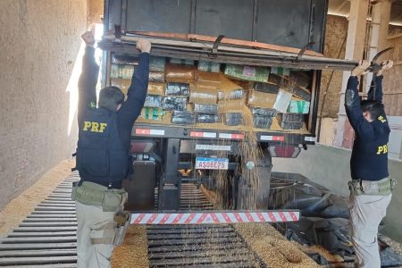 PRF faz mega apreensão de maconha em Amambai