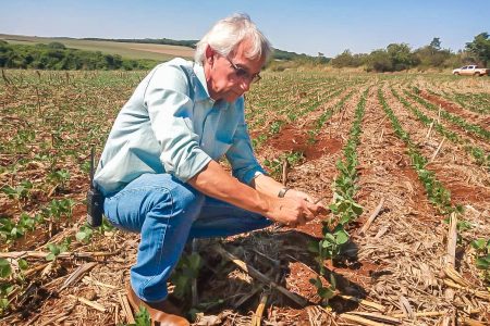 MS: é o momento de plantar a soja?