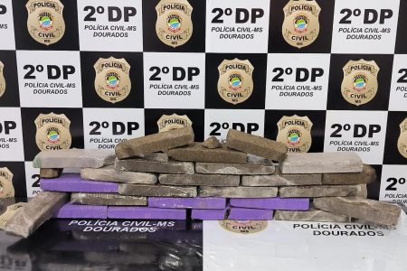 Polícia Civil apreende maconha em terreno baldio