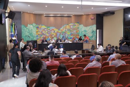 Vereadores aprovam projetos e fazem balanço positivo de viagem a Brasília