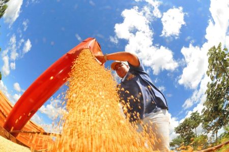 Mato Grosso do Sul fecha 2024 com superávit de US$ 7,1 bilhões na balança comercial
