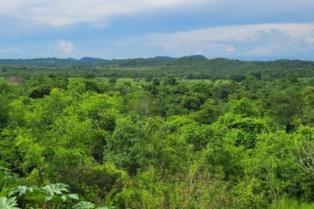 Governo de MS divulga índices da participação do ICMS Ecológico para 2025