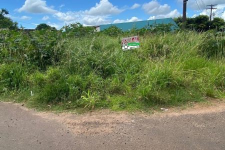 Prefeitura notifica proprietários para limpeza de terrenos