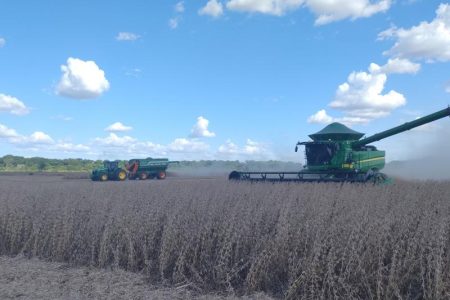 Soja: mais de 28% da área estimada já foi colhida em Mato Grosso do Sul
