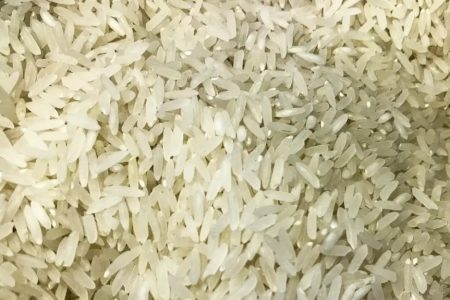 Exportações de arroz devem crescer nos próximos anos, projeta diretora da CNA