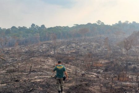 BNDES corta crédito rural no valor de R$ 728 milhões a desmatadores ilegais