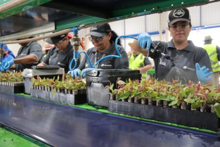 Mercado de trabalho em Mato Grosso do Sul atrai cada vez mais mulheres e jovens