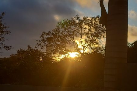 Quinta-feira gelada com máxima que não passa dos 13ºC