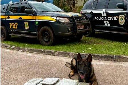 Casal é preso com drogas em ônibus clandestino