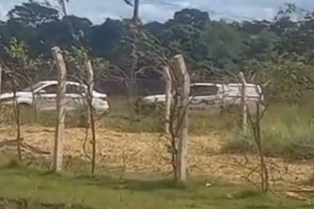 Mulher é encontrada morta em Ponta Porã