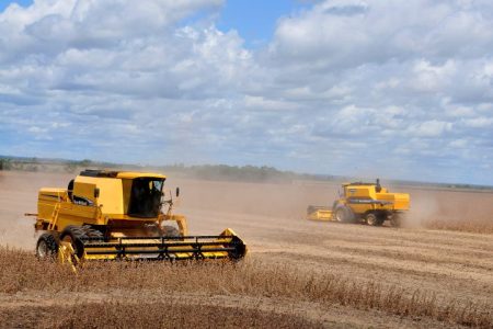 Produção agrícola de MS deve chegar a 75,3 milhões de toneladas na safra 2024/25