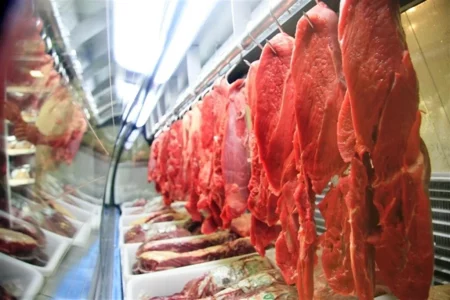 Delegação do Brasil se reúne com importadores do Japão para abrir mercado da carne