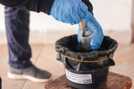 MS inicia projeto-piloto com biolarvicidas para reforçar combate à dengue