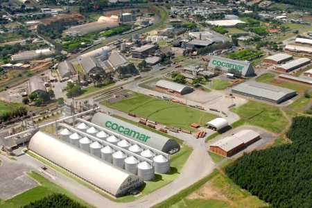 Agroindústria cresce em 2024, mas desaceleração em dezembro preocupa