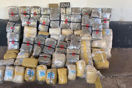 Ação envolvendo diversas delegacias apreende 100 quilos de drogas