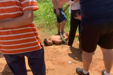 Cansados de prejuízos moradores se unem e pegam ladrão “a unha”