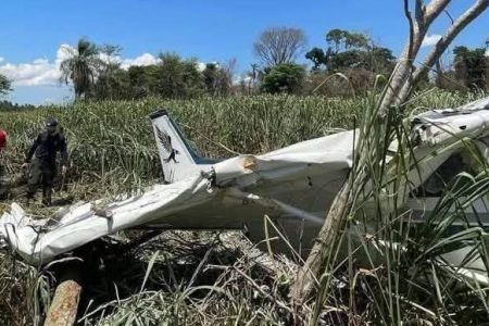 Pai e filho se valvam em acidente aéreo no Paraguai