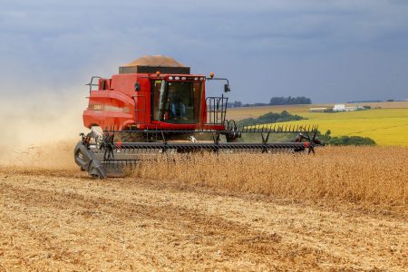 Colheita de soja ultrapassa 60% no Brasil; saiba qual o estado mais avançado