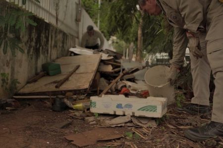 Dengue avança em MS com crescimento de casos e óbitos em 2025