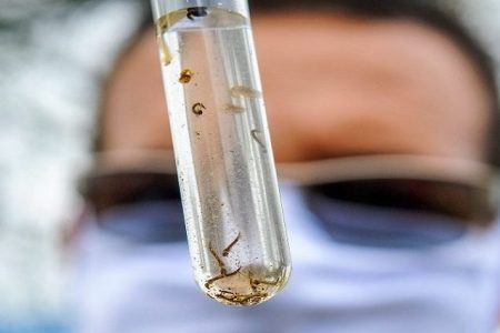 Dengue avança em MS e vacinação ainda é insuficiente