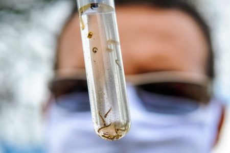 Mato Grosso do Sul registra 1.234 casos confirmados de dengue