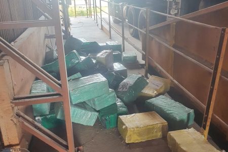 Polícia apreende mais de 7 toneladas de maconha em Aral Moreira