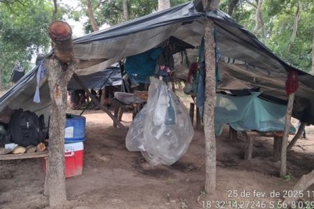 MPT-MS pede expropriação de fazenda que manteve trabalhadores em condições análogas à escravidão