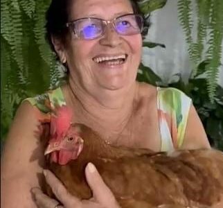 Desaparecimento de galinha de estimação causa  mobilização na fronteira
