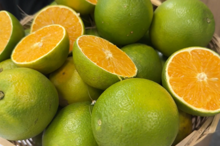 Estoques de suco de laranja atingem menor nível da série histórica