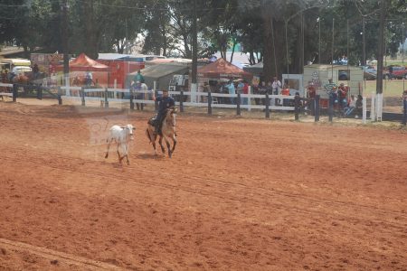 Ponta Porã recebe o 47ª Encontro Estadual de Laço Comprido