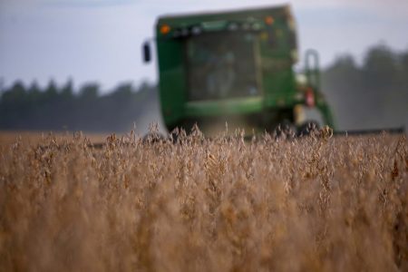 Soja enfrenta volatilidade com clima adverso; confira os dados de mercado
