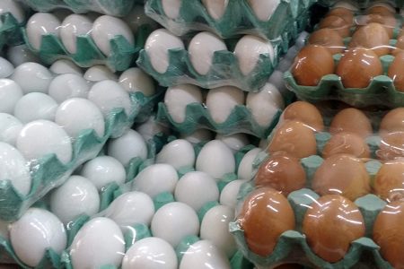 Ovos: exportação brasileira dispara em fevereiro; EUA compram 93% a mais