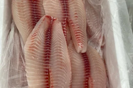 Brasil pode começar a exportar pescados para a China