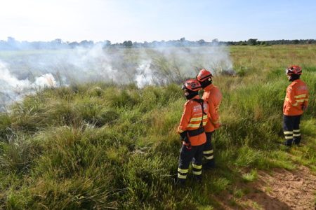 Para proteger o Pantanal, Governo de MS realiza ação inédita de queima prescrita