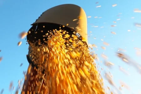 Queda nos preços faz produtores de soja adiarem vendas