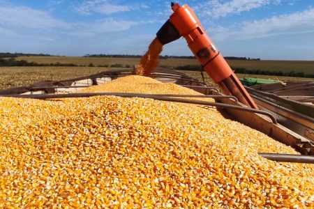 Produção de etanol de milho cresce no país e coloca MS entre os maiores produtores