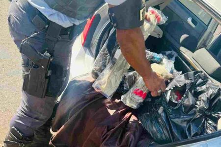 Morador em MS é flagrado em rodovia paulista com 160 quilos de cabelo humano