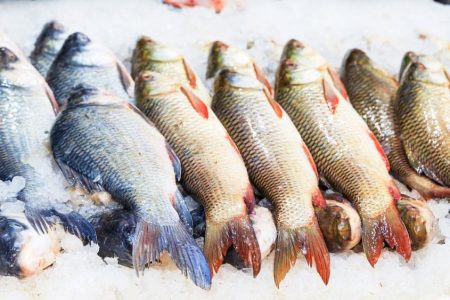 Brasil vai exportar pescados para Austrália