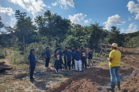 Projeto refloresta terra Terena, valoriza cultura indígena e garante alimentos