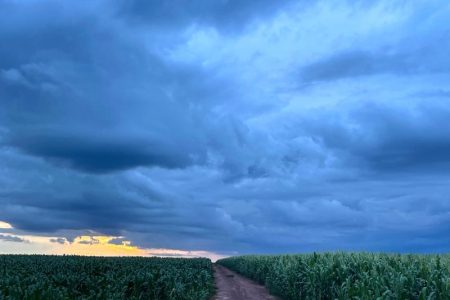 Mato Grosso do Sul teve chuvas acima da média em abril, aponta Cemtec