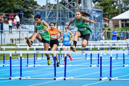MS avança no processo seletivo do Bolsa Atleta e Bolsa Técnico